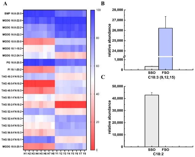 The results of heatmaps of lipids and screenings of FA with significant differences in safflower seed oil (SSO) and flaxseed oil (FSO).